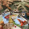Czech Games Lost Ruins Of Arnak (Doos Achter Ingedeukt) Best